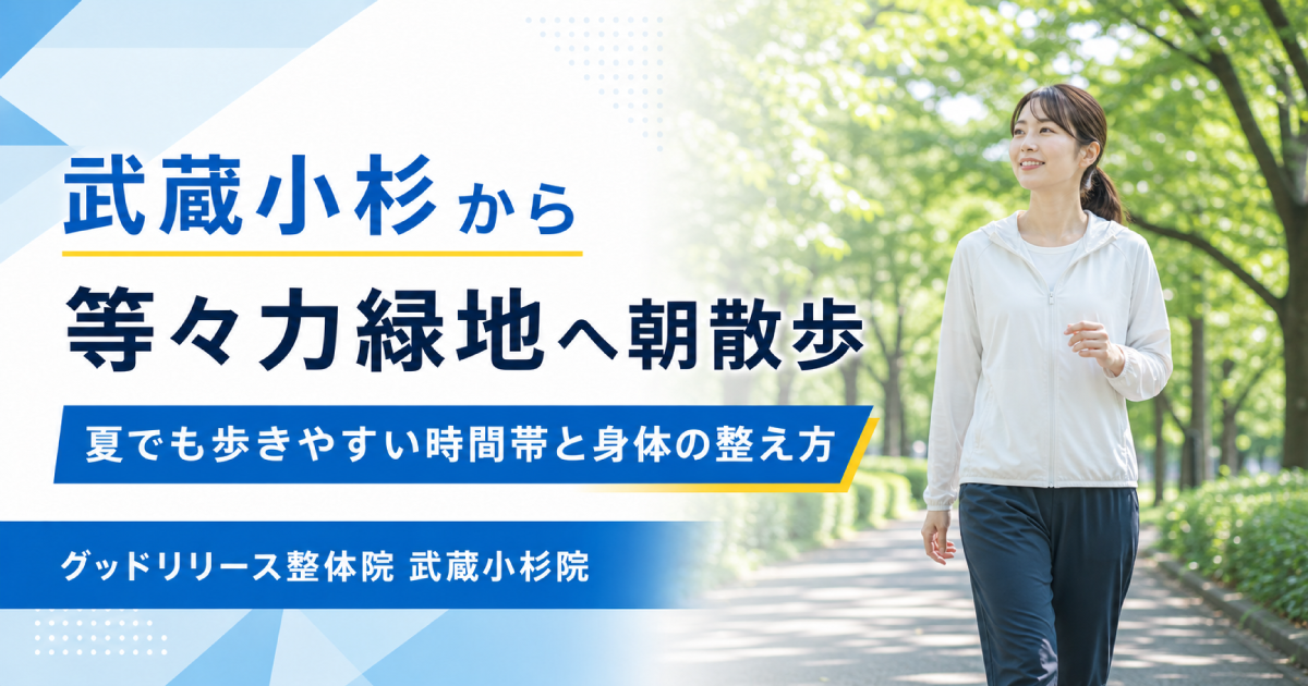 武蔵小杉から等々力緑地へ朝散歩｜夏でも歩きやすい時間帯と身体の整え方を整体師が紹介