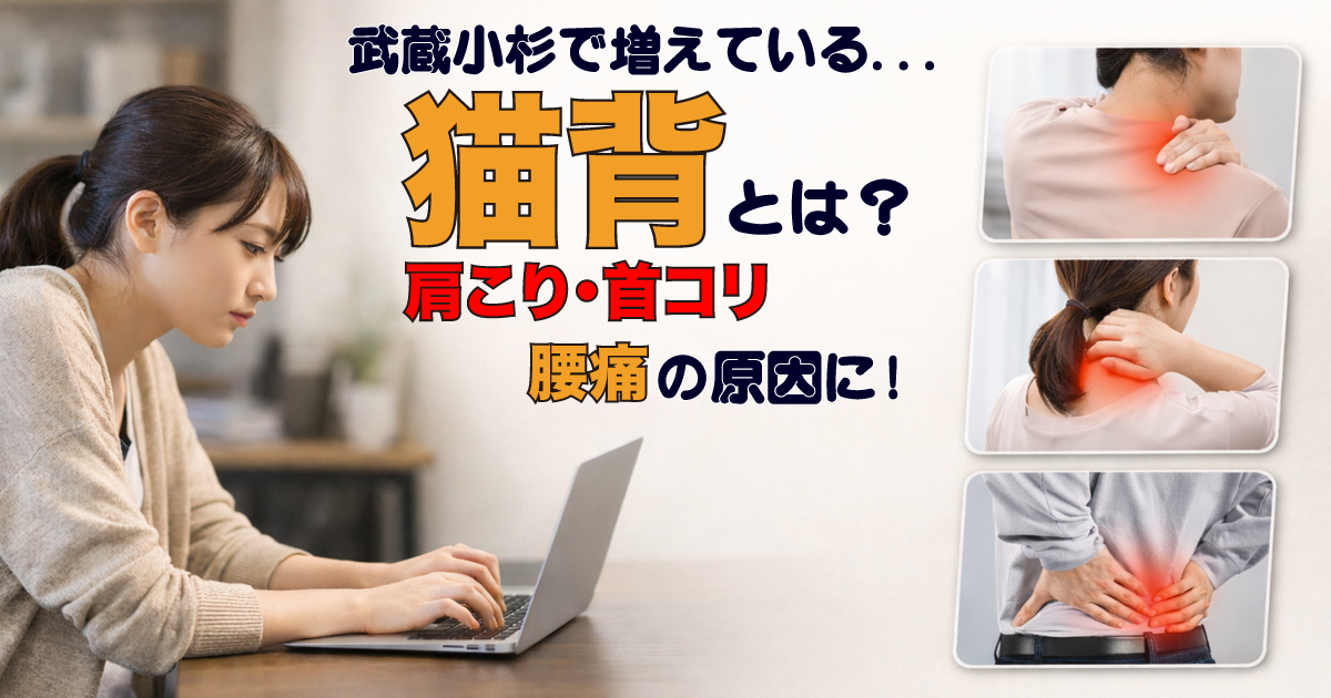 武蔵小杉で増えている「猫背」とは？肩こり・首こり・腰痛の原因になる姿勢を整体が解説
