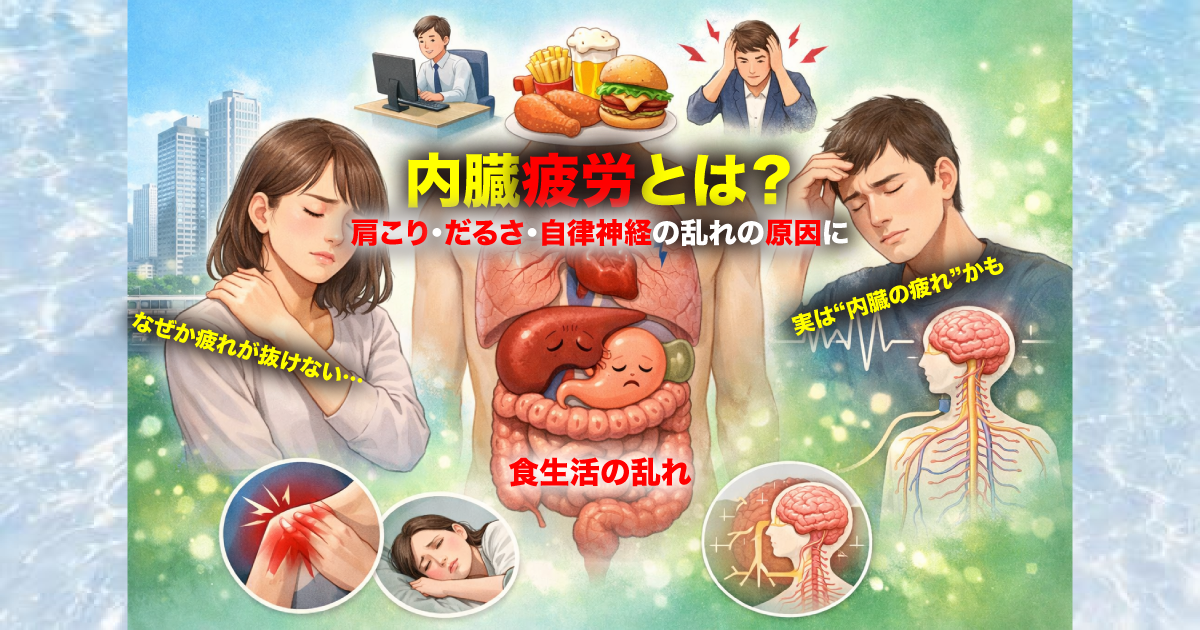 武蔵小杉で増えている「内臓疲労」とは？肩こり・だるさ・自律神経の乱れにつながる原因を整体が解説